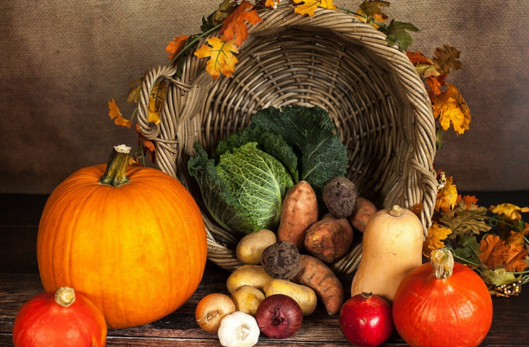 5 Grandes ideas para preparar comida vegetariana