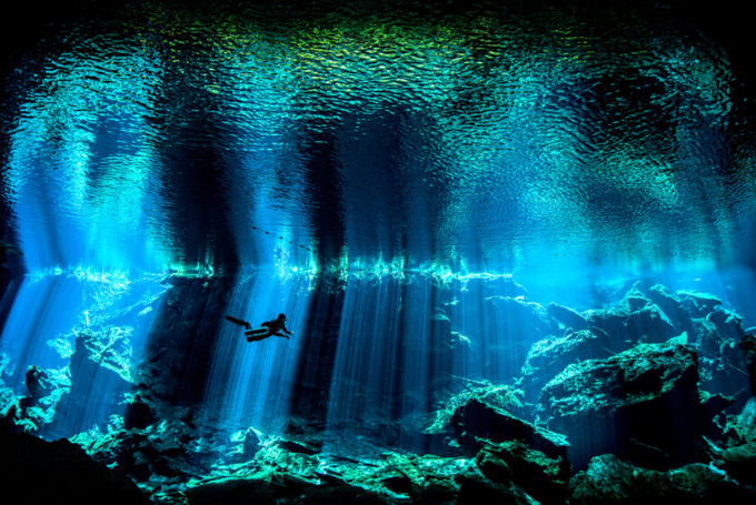 Fotografía submarina.Las mejores imágenes de la década